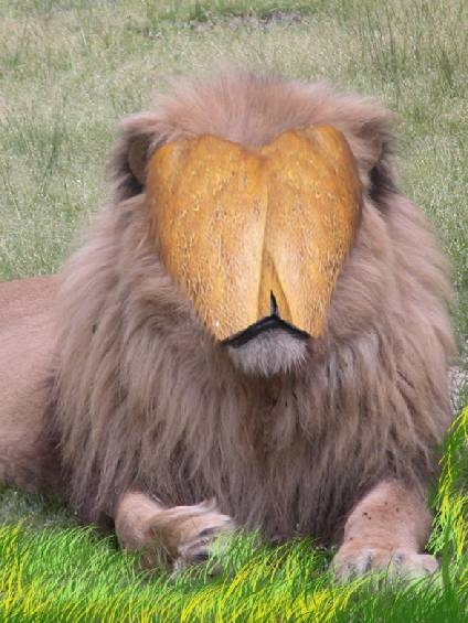 Creation of Lion: Step 4